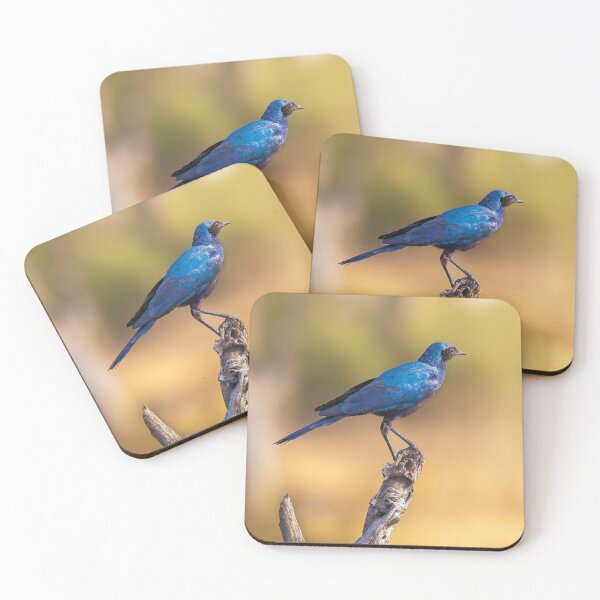 Item preview, Burchell’s Starling designed and sold by Kay Brewer.