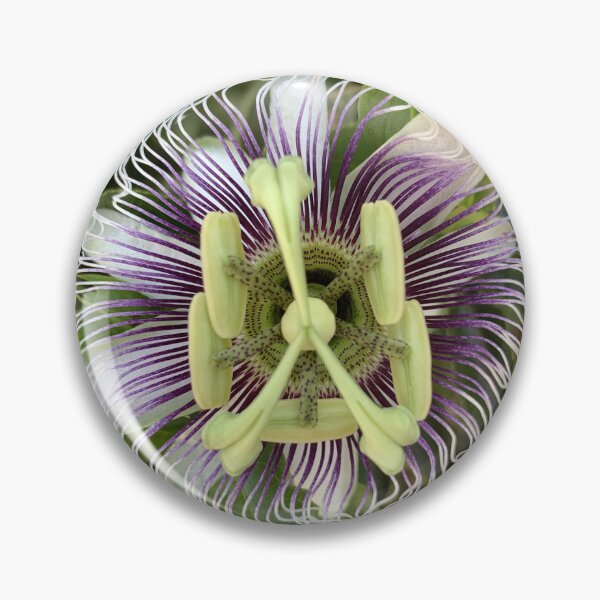Item preview, Passion Flower designed and sold by Donna Turner.