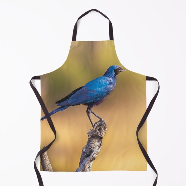 Item preview, Burchell’s Starling designed and sold by Kay Brewer.