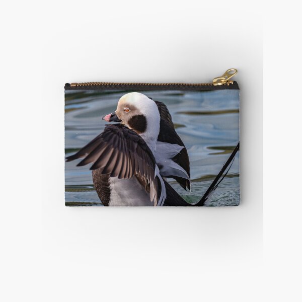 Item preview, The long-tailed duck  designed and sold by Tom McPherson Photography.