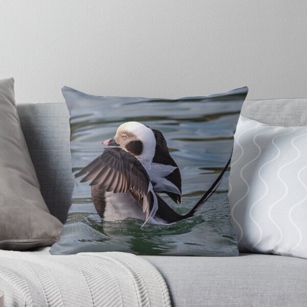 Item preview, The long-tailed duck  designed and sold by Tom McPherson Photography.