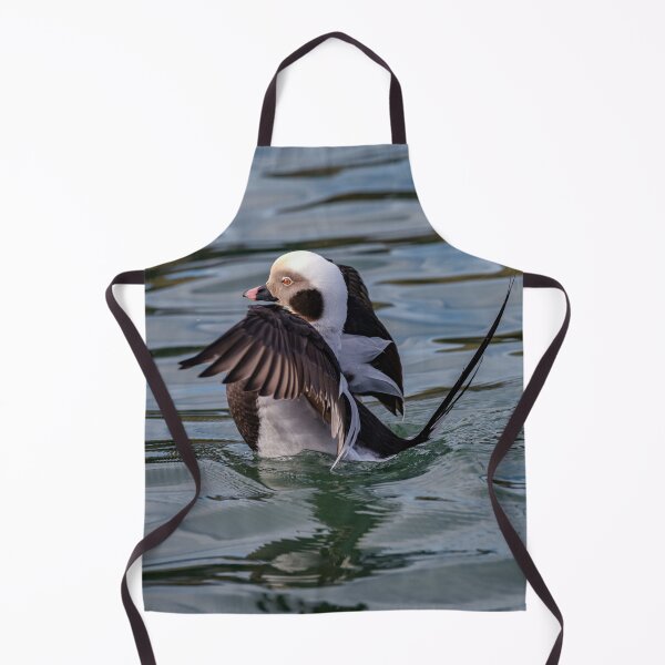 Item preview, The long-tailed duck designed and sold by Tom McPherson Photography.