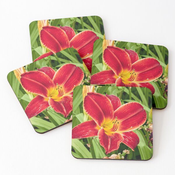 Item preview, Apparent Daylily designed and sold by Eidetic Photos.
