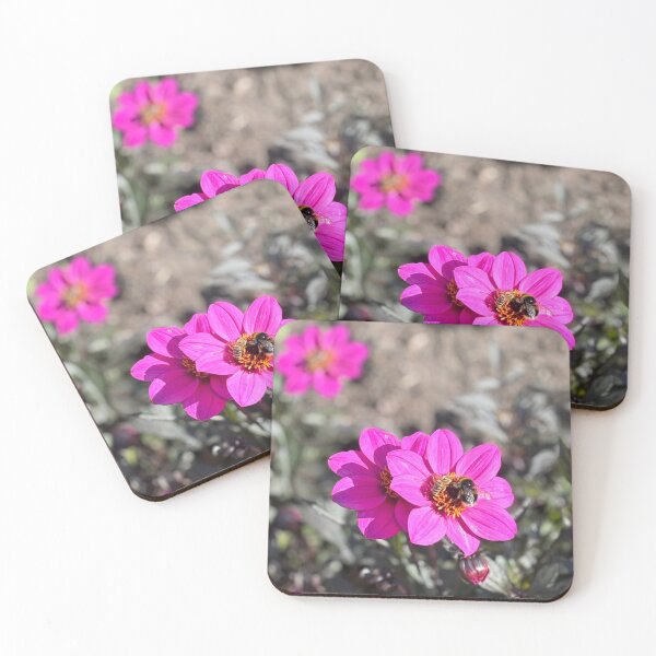 Item preview, The bee & the wasp designed and sold by Emma Shanley.