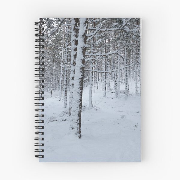 Item preview, balmoral forest designed and sold by codaimages.