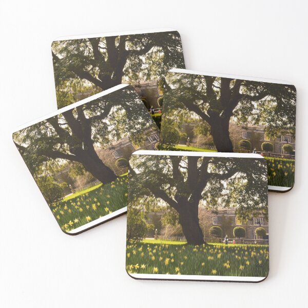 Item preview, Taking The Spring Air designed and sold by gundogpic.
