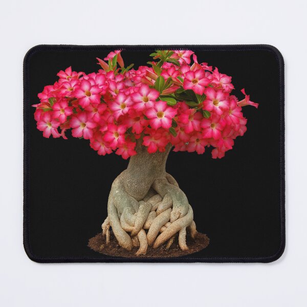 Item preview, Desert Rose designed and sold by HeritageGlow.