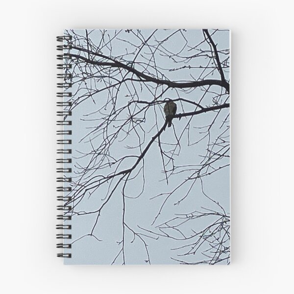 Item preview, Bird Silhouetted in Winter Tree designed and sold by Amanda1775.