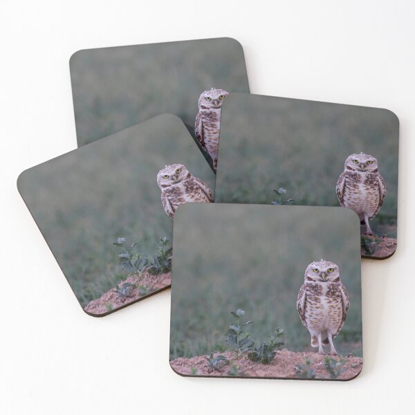 Item preview, Burrowing Owl designed and sold by Valentina Gatewood.