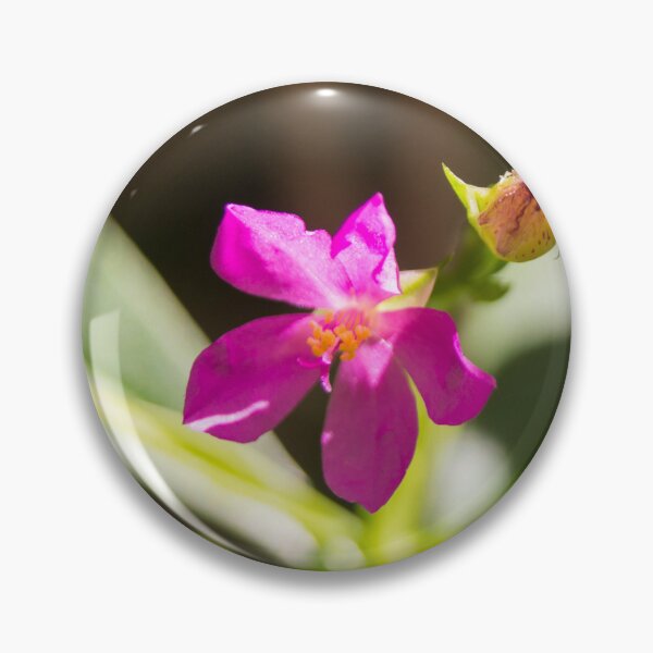 Item preview,  Philippine spinach designed and sold by ROSE ANN BANILAR.