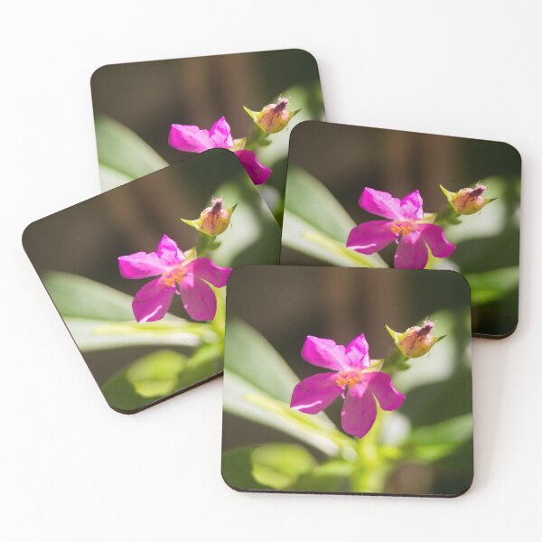 Item preview,  Philippine spinach designed and sold by ROSE ANN BANILAR.