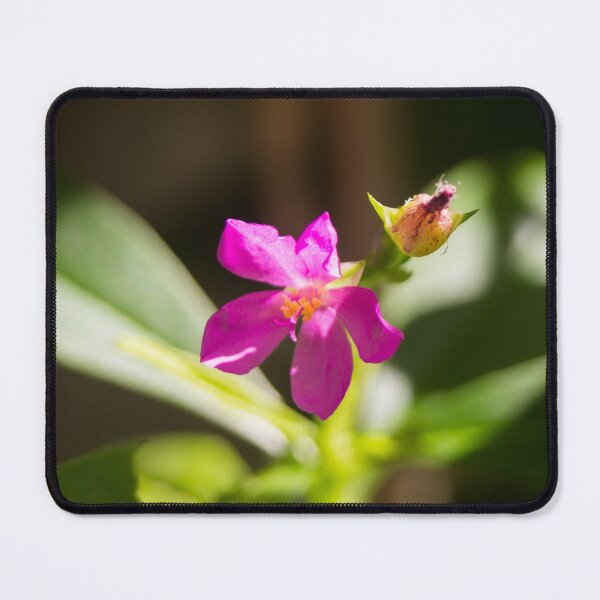 Item preview, Philippine spinach designed and sold by ROSE ANN BANILAR.