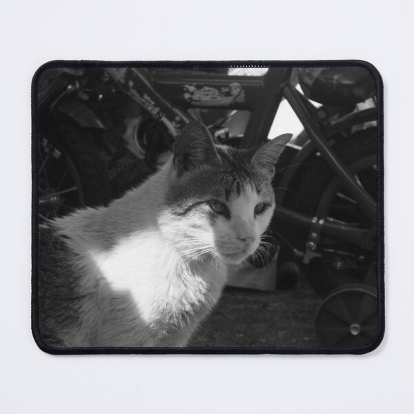Item preview, B&W - No Disturbance designed and sold by ROSE ANN BANILAR.