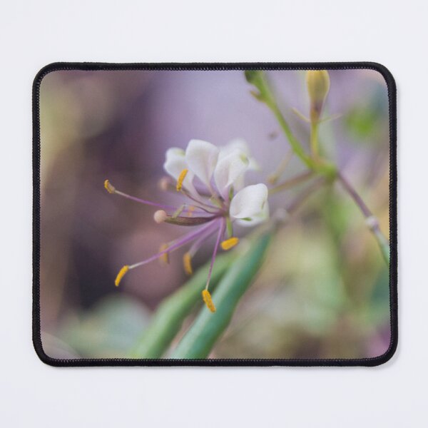Item preview, honeysuckle designed and sold by ROSE ANN BANILAR.