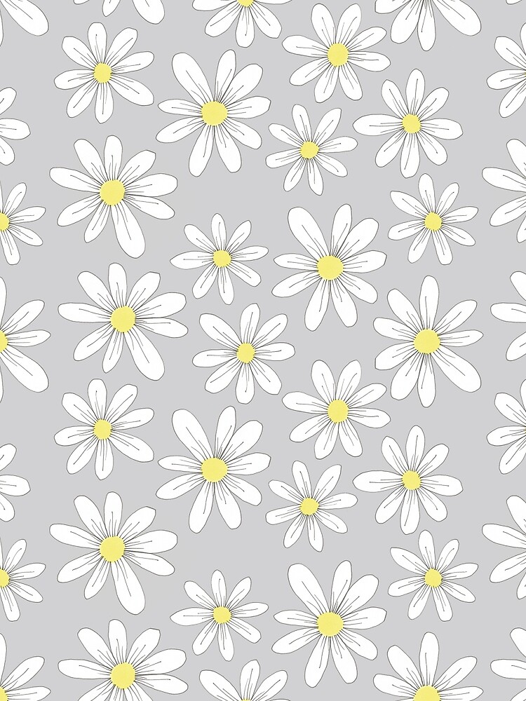 simple daisies on gray by swoldham
