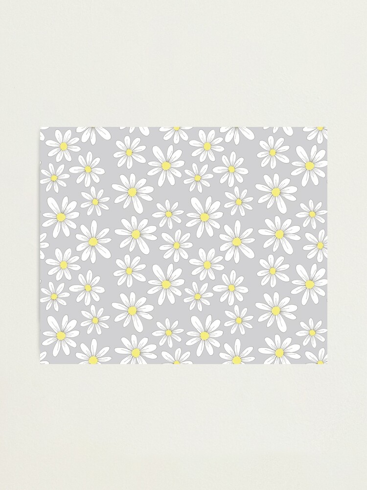 Alternate view of simple daisies on gray Photographic Print