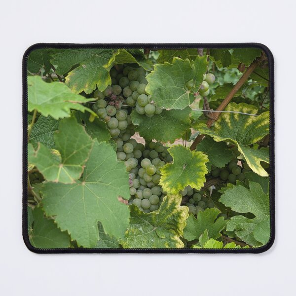 Item preview, grapevines designed and sold by MonStile.