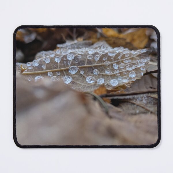 Item preview, Crested leaf designed and sold by MonStile.