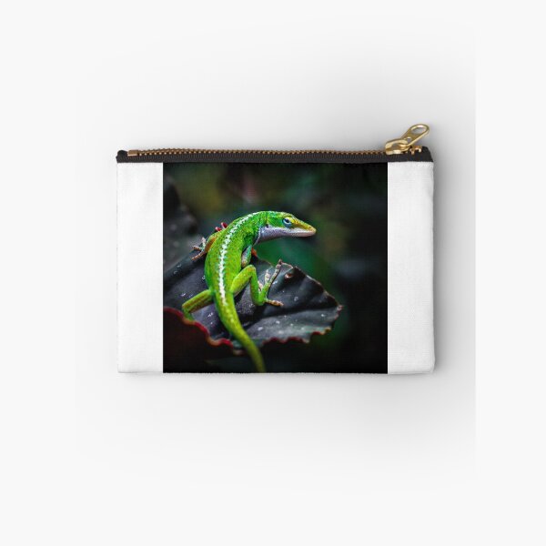 Item preview, Anole designed and sold by David Creagh.