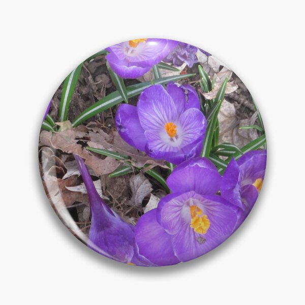 Item preview, Spring Crocus Flowers designed and sold by AGMomsArt.