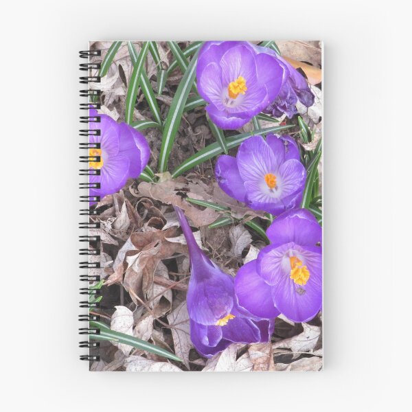 Item preview, Spring Crocus Flowers designed and sold by AGMomsArt.