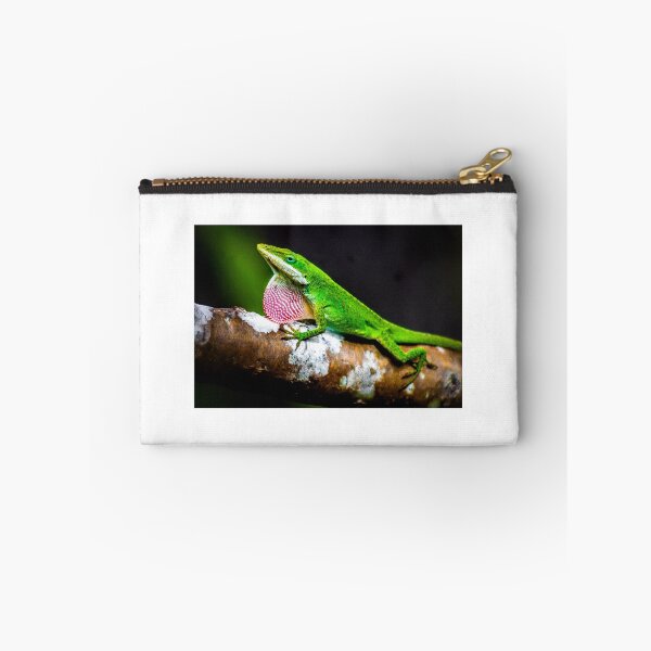 Item preview, Anole designed and sold by David Creagh.