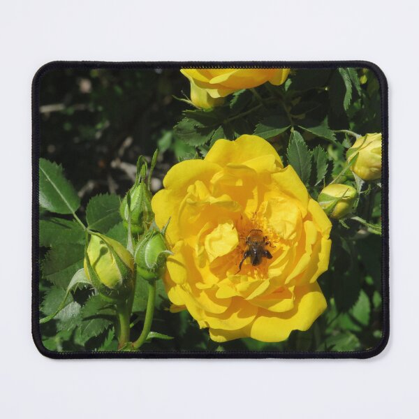 Item preview, Yellow Rose With A Bee designed and sold by AGMomsArt.