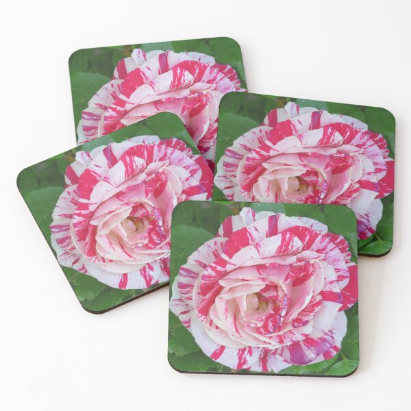 Item preview, A Red & White Rose designed and sold by AGMomsArt.
