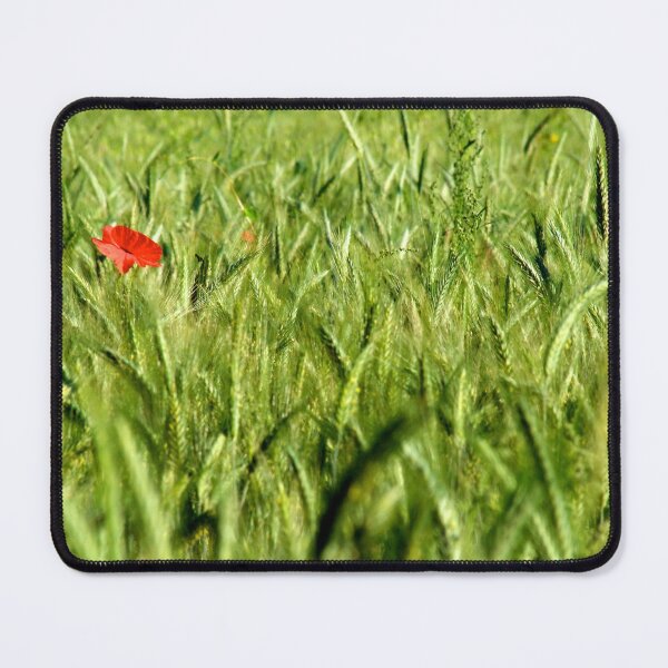Item preview, Poppy designed and sold by Stephen Baird Photos.