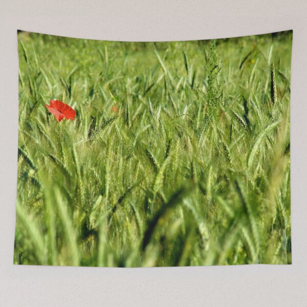 Item preview, Poppy designed and sold by Stephen Baird Photos.