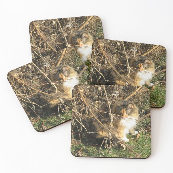 Item preview, A Long Haired Calico Cat designed and sold by AGMomsArt.
