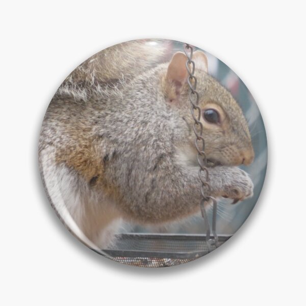 Item preview, Squirrel Eating Out of Bird Feeder designed and sold by AGMomsArt.