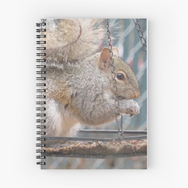 Item preview, Squirrel Eating Out of Bird Feeder designed and sold by AGMomsArt.