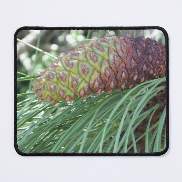 Item preview, Pinecone on a branch designed and sold by AGMomsArt.