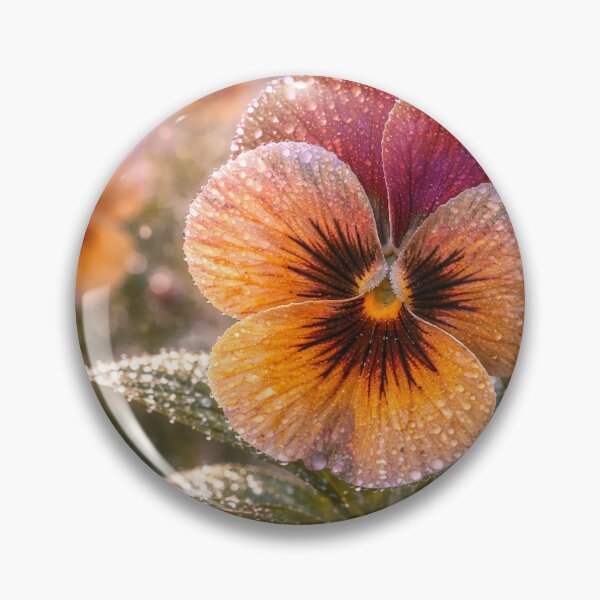 Artikelvorschau, Ember Dew Pansy entworfen und verkauft von SpicyWind.