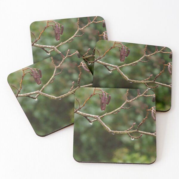 Item preview, Raindrops on Winter Alder Branches designed and sold by ShotsbyDesiree.