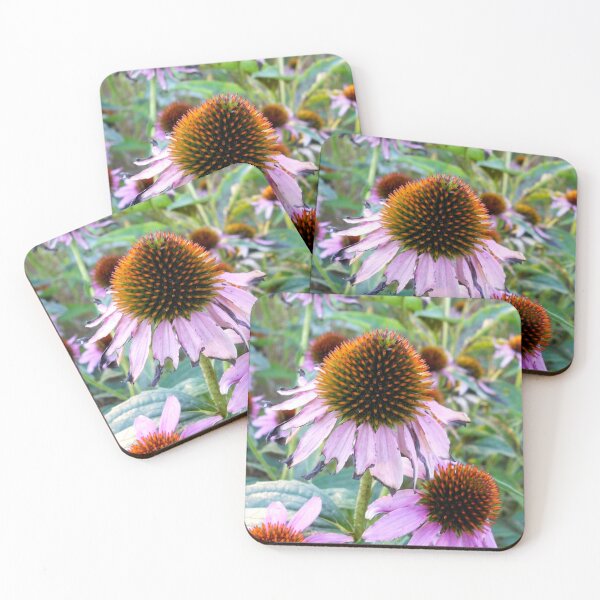 Item preview, Echinacea Flowers in Autumn designed and sold by patrickcallan.