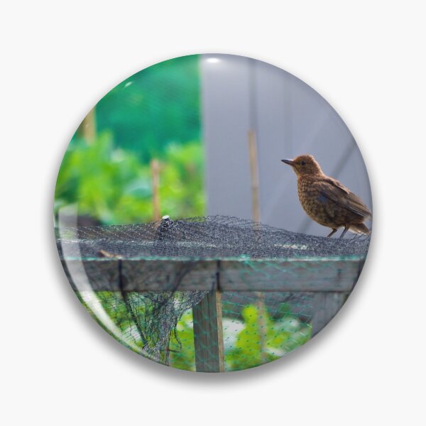 Item preview, Morning Visitor designed and sold by Stephen Baird Photos.