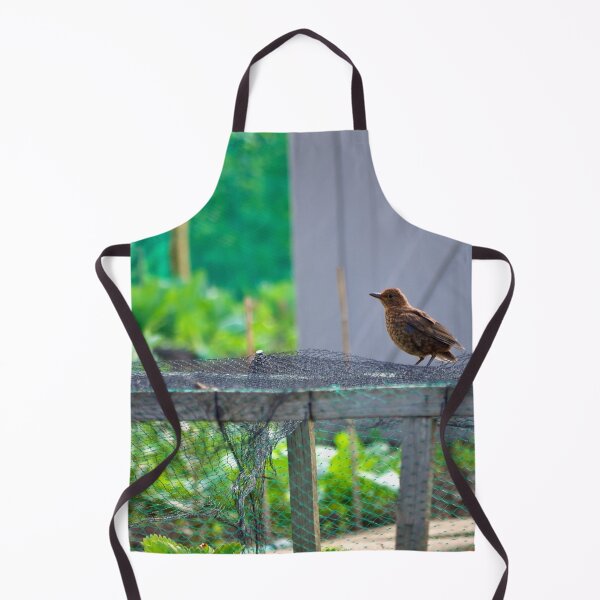 Item preview, Morning Visitor designed and sold by Stephen Baird Photos.