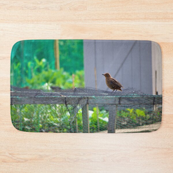Item preview, Morning Visitor designed and sold by Stephen Baird Photos.