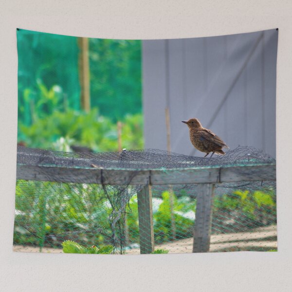 Item preview, Morning Visitor designed and sold by Stephen Baird Photos.