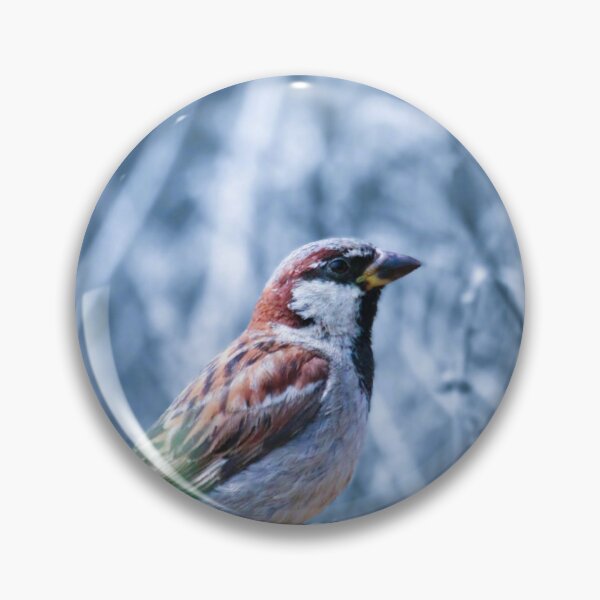 Item preview, Hidden Songbird in the Bushes designed and sold by Golden Hour Gallery.