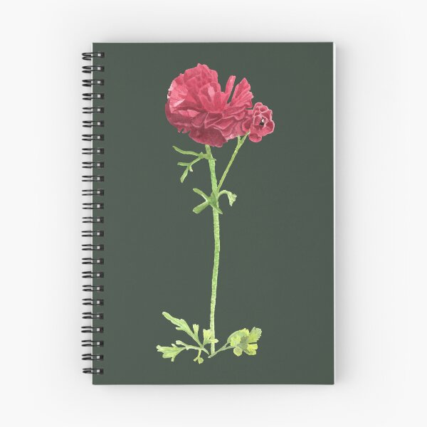 Item preview, Ranunculus Watercolour Painting designed and sold by rachelmcintyreart.