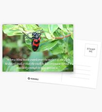 I Was Lucky Enough To Have Spotted It - Einstein Quote Postcards
