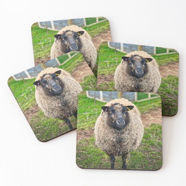 Item preview, Peaceful Sheep in Field – Rustic Farm Animal Photography Print designed and sold by leonwoods.