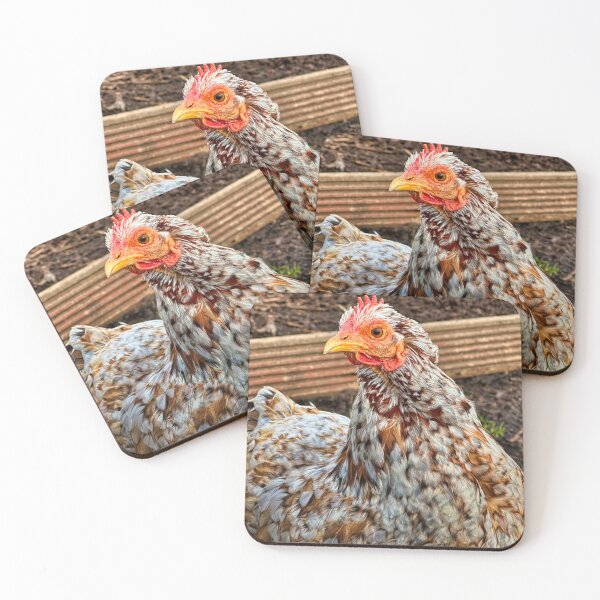 Item preview, Rustic Chicken Portrait – Farmyard Poultry Photography Print for Country Kitchen Decor designed and sold by leonwoods.