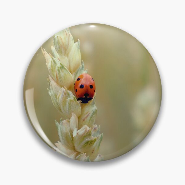 Item preview, Red Ladybug on Golden Wheat designed and sold by AKI | Art Kode of Imagination.