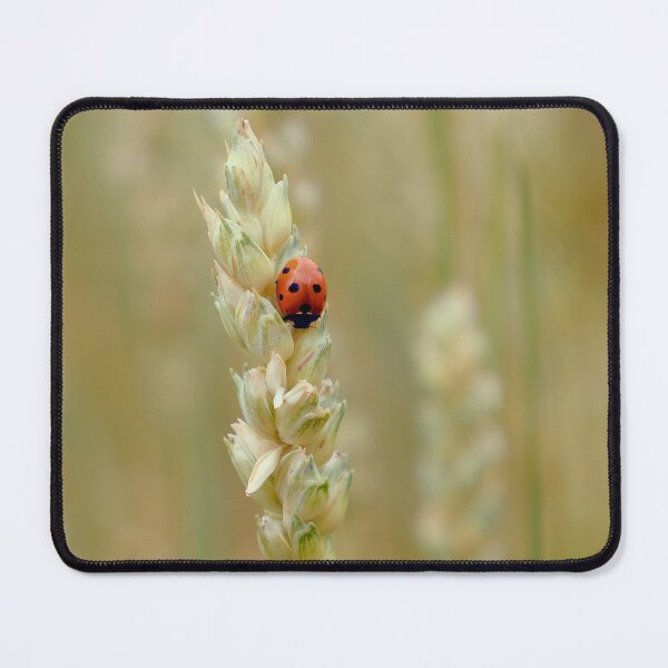 Item preview, Red Ladybug on Golden Wheat designed and sold by AKI | Art Kode of Imagination.