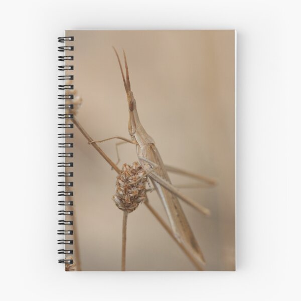 Item preview, I Blend In. designed and sold by Joy Watson - Natural Light Photography .