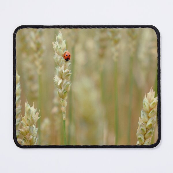 Item preview, Ladybug in the Field designed and sold by AKI | Art Kode of Imagination.